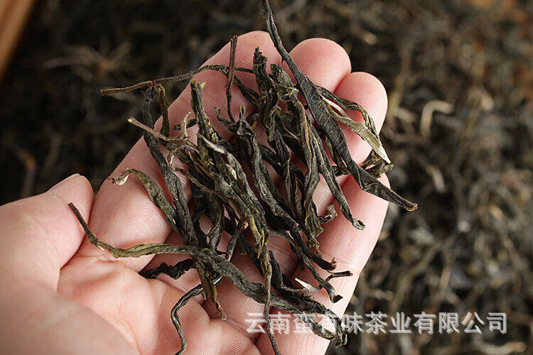 Yunnan Puerh Tea Ancient Tree Tea Old Tree Tea Spring Tea 500g Loose Tea