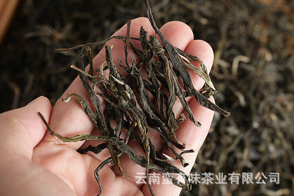 Yunnan Puerh Tea Ancient Tree Tea Old Tree Tea Spring Tea 500g Loose Tea