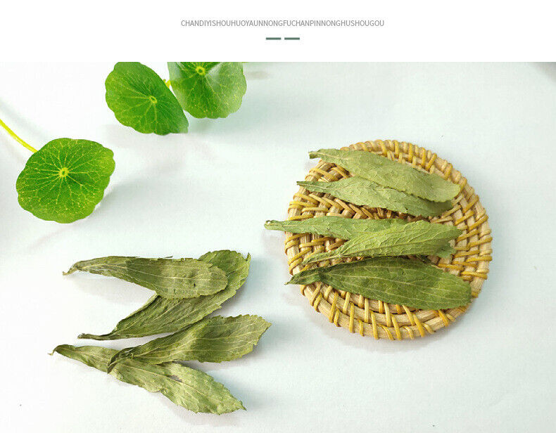 500g Wholesale supply of stevia/stevia leaf in bulk 17.6oz