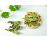 500g Wholesale supply of stevia/stevia leaf in bulk 17.6oz