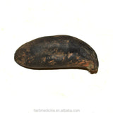 Natural and Dried Whole Black Xylaria Nigripes Klotzsch Cooke Sclerotium 50g