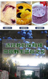 100% Natural Dried Wild Blueberries | No Sugar Added | Healthy Snack | 100g