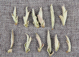 Yunnan Raw Tea Leaves White Buds Spring Tea Raw White Bud Spores Pu'er Raw Tea