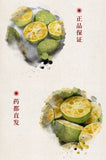 Freeze Dried Green Kumquat 500g Natural Sweet Sour Snack Healthy Citrus