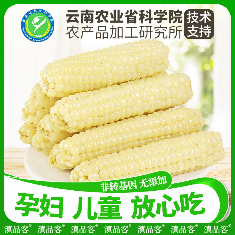Xishuangbanna Sweet Sticky Corn – Wholesale Vacuum Pack