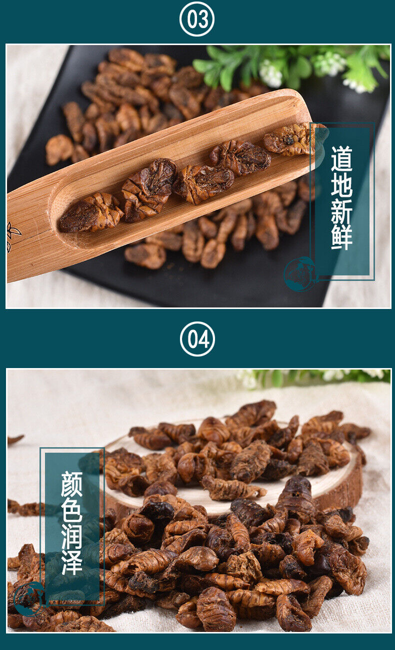 Dried Cicada Chrysalis Dried Silkworm Chrysalis Chinese Herbs 500g/1.1lb