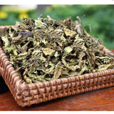 500g High quality classic China Natural Green Herbal Kidney Tea