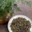 Spring River Water Bagged Glutinous Rice Fragrance Tea 100g Aromatic Green Tea