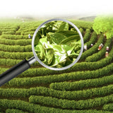330g Organic China Tea FudingBai Mu Dan White Peony Cake Top White Tea