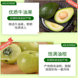 50g Oleander Avocado Control Card Shake Powder Nutrition Breakfast Light Food