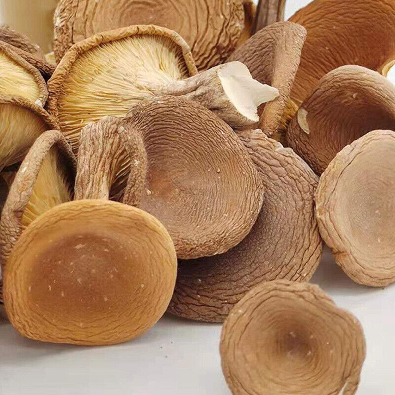 Wild Mountain Delicacies: Dried Mushrooms, Pig Stomach Fungus, Shiitake for Soup