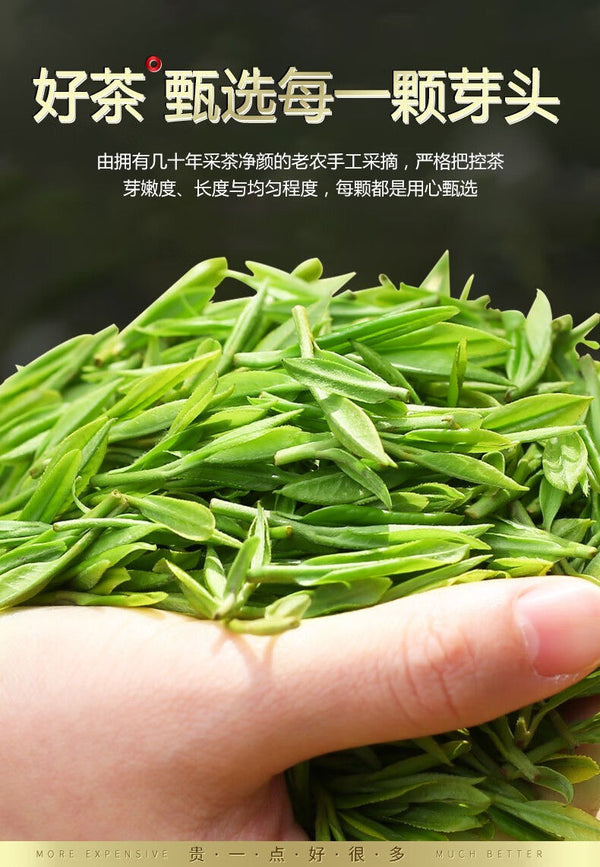 2025 Spring Rain Maojian Green Tea Fresh Buds High Mountain Green Tea 30g Bag