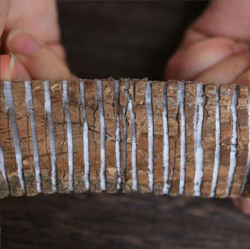 500g Organic Top Quality Dried Eucommia Bark | Du Zhong | Eucommia Ulmoides | 杜仲 Secondary image