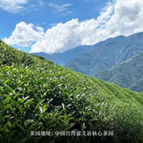 Taiwan High Mountain Jin Xuan Milk Oolong Tea Milk Tea Organic Green Tea Jinxuan