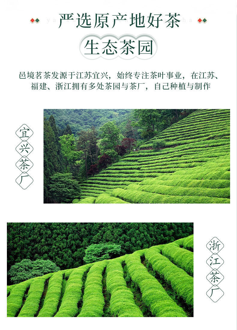 Green Tea Exquisite Gift Box Yuhua High Quality Tea Organic 96g