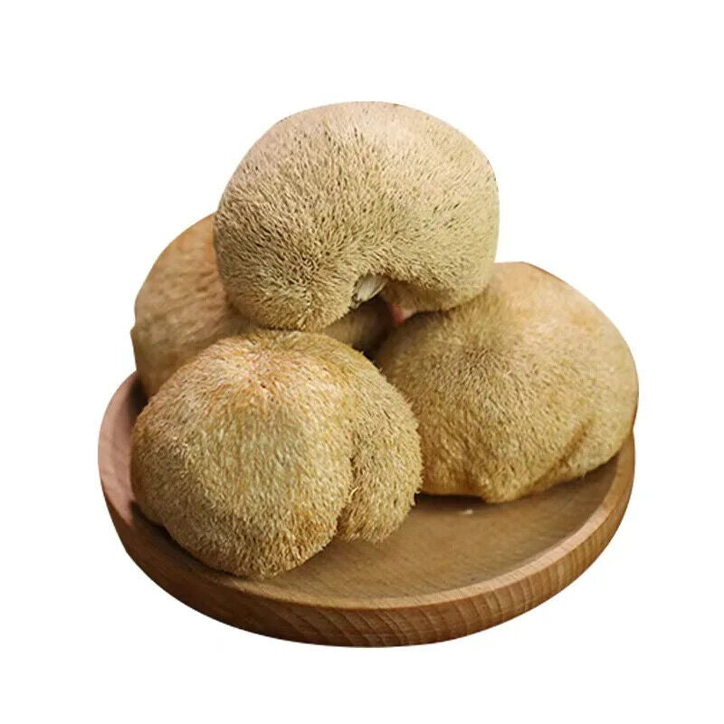 100% Biologische natürliche Löwen Mähne Pilz Hericium Erinaceus Hou Tou Gu 250G