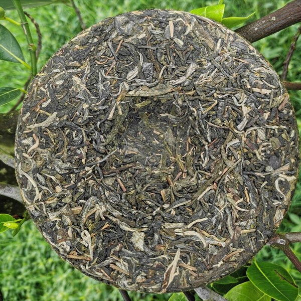 Yiwu Jiao Mu Pu'er Tea Yunnan Raw Tea Cake Primeval Forest Ecological Tea 12.6oz
