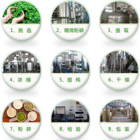 Yucca Schidigera Extract Powder Water Soluble | Natural Foaming Agent
