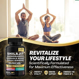 Energy & Vitality Boost 60 Capsules Pure Shilajt Capsules Natural