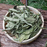 China Stevia Leaf in Bulk Dried Stevia Leaves Stevia Natural Dry Leaf Herb Tea