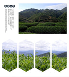 Taiwan High Mountain Tea Frozen Top Oolong Golden Day Oolong Tea 150g Pack