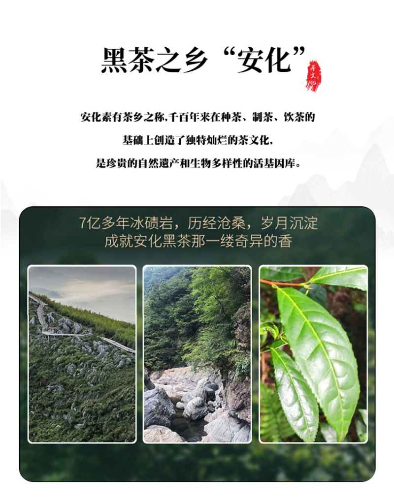1kg Hunan Anhua black tea handmade brick tea Tianjian JinhuaFu brick black tea