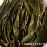 Yunnan Puerh Tea Spring Tea Plum Turnip Arbor Raw Big Tree Tea 500g loose tea