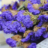 Forget-Me-Not Flower Tea Pure Forget-Me-Not Dried Flowers Bulk