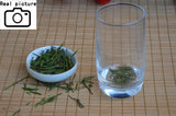 New Organic White Tea Super Anji baicha needle Tea for Health Care Tea 100g
