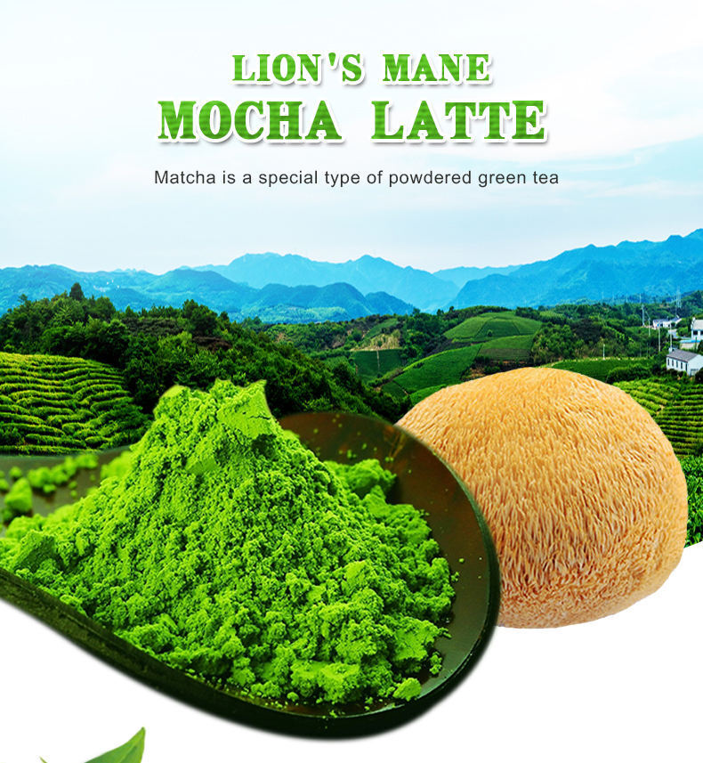 Premium Matcha Powder Organic Matcha Latte Matcha Green Tea Powder 250g/8.8oz