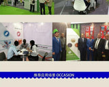 Cats Claw Grass Extract 20:1 Herbal Tea Loose Leaf Three Grass Blend