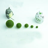1Pc Micro Landscape Aquarium Aquatic Terrarium Decoration New Ornament DIY Model