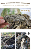 Wild Yunzhi Mushroom 250g Premium Dried Trametes Herbal