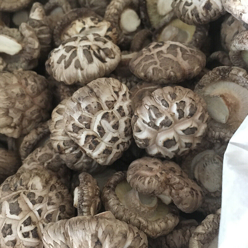 Premium Dried Tea Flower Edible Mushroom Chinese Herbal Fungi Bag Package 250g