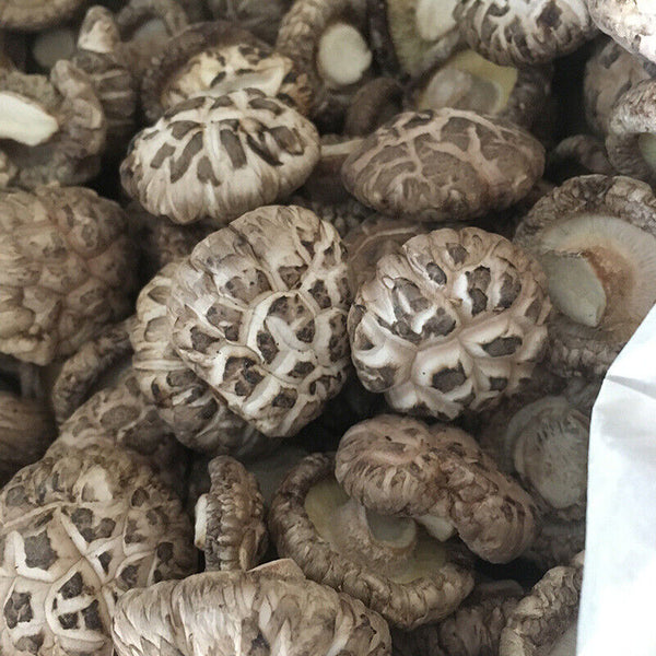 Premium Dried Tea Flower Edible Mushroom Chinese Herbal Fungi Bag Package 250g