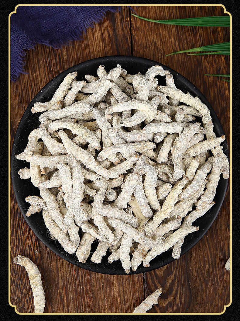 Stiffworms Chinese Herbal Medicine Stiffworms White Stiffworms 500g/1.1lb