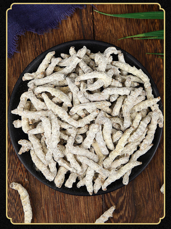 Stiffworms Chinese Herbal Medicine Stiffworms White Stiffworms 500g/1.1lb