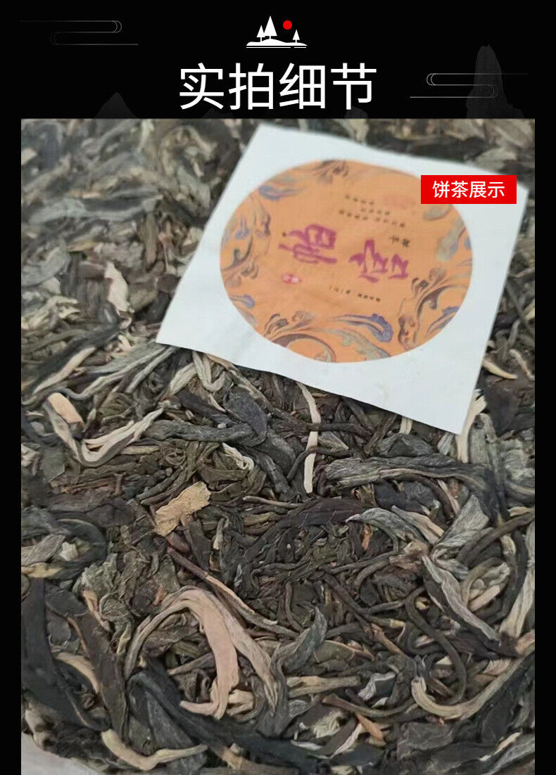 Yunnan Pu'er Tea Pagong Gushu First Spring Pu'er Raw Tea 357g Cake Tea