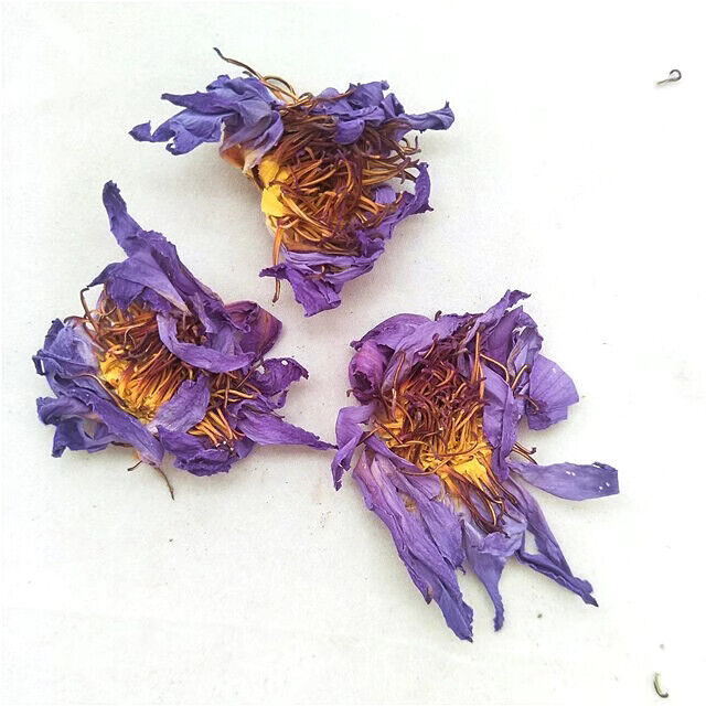 FullChea 20-25 pcs Egyptian Blue Lotus Flower Tea Bags Premium Lotus Herba Tea
