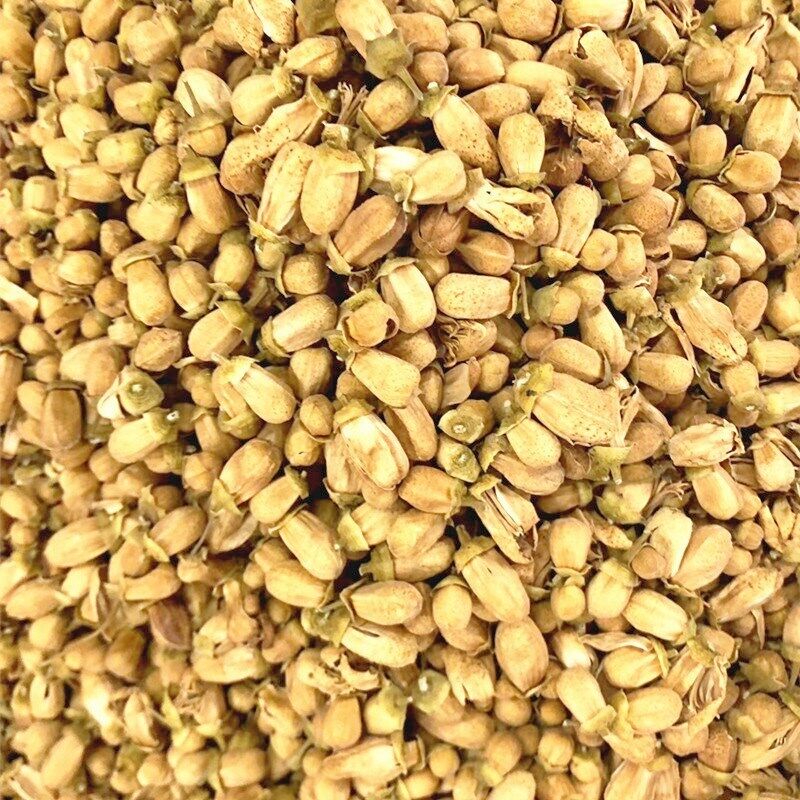 New tortoiseshell flowers preferred to grapefruit flowers 17.6oz