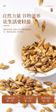 Premium Roasted Barley Tea 500g Natural Chinese Herbal Brew