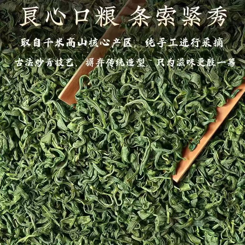 Premium Maojian Green Tea High Mountain Core Garden Pre-Rain Strong Aroma50g Can