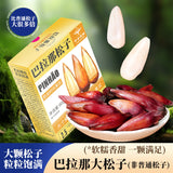 Premium Authentic Parana Pine Nuts Natural High Quality For Sale On Ebay
