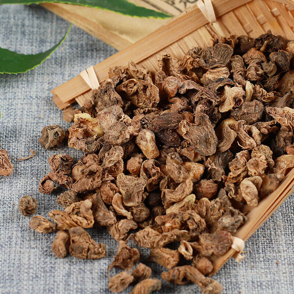 50g High Quality Shancigu Maocigu Premium Chinese Healthy Herbs Health Care 山慈菇