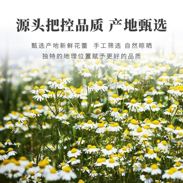 Chamomile & Chrysanthemum Tea with Cassia Seeds | Herbal Wellness