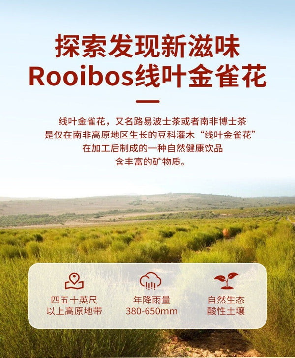 Rooibos Tea Caffeine-Free, Convenient Triangle Bags, South African Blend