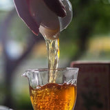 Yiwu Wild Tea Yunnan Ancient Tree Pu'er Tea Smoky Fragrance Raw Tea 300g