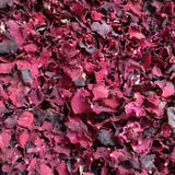 Premium Ink Red Rose PetalsEdible PetalsBulk French Ink Red Roses