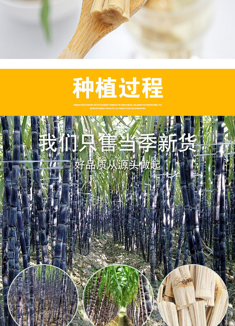 Dried Sugarcane Bulk Peeled Sweet Sugarcane Dried Sugarcane Segments 500g