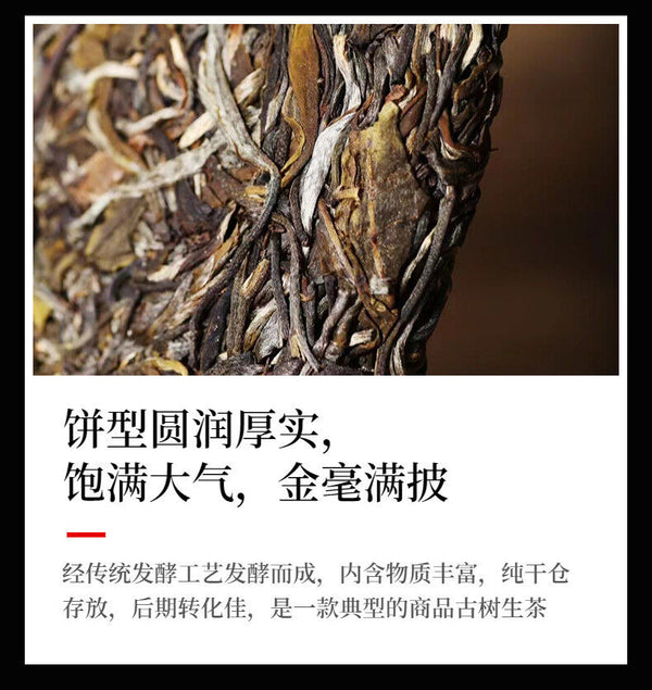 Yunnan Tea Yiwu One Fan Mill 357g Gushu Pu'er Raw Tea Cake